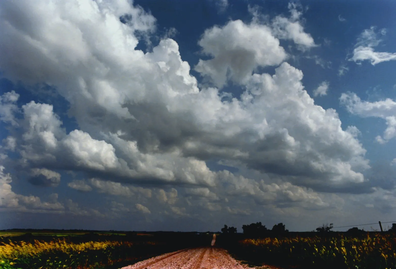 Bands of puffy fair-weather cumulus clouds drifting over a Kansas gravel road between fields.